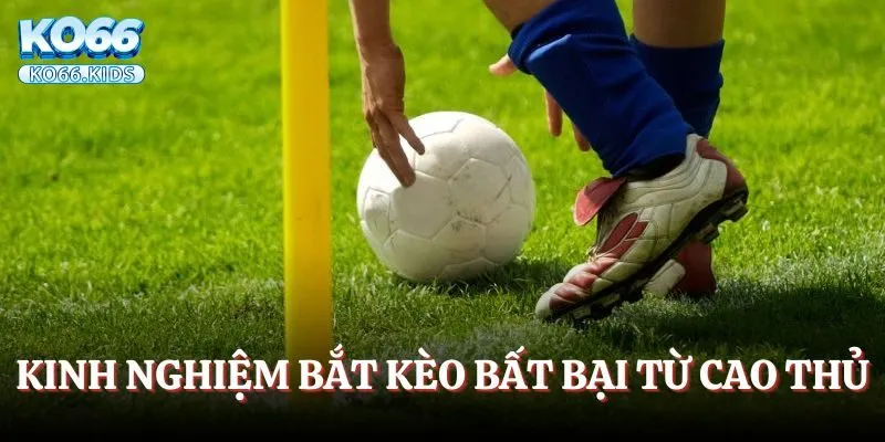 Một vài kinh nghiệm bắt kèo bất bại từ cao thủ