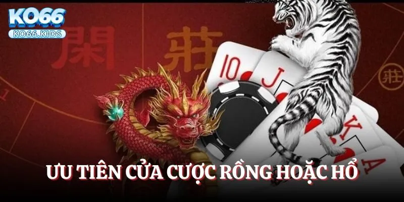 Ưu tiên cửa cược Rồng hoặc Hổ
