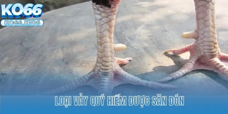 Loại vảy quý hiếm được săn đón