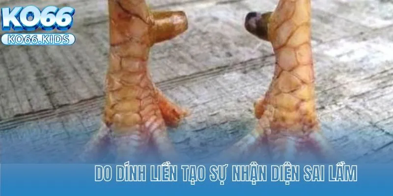 Do dính liền tạo sự nhận diện sai lầm 
